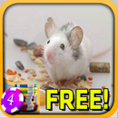 3D Tiny Mous Slots - Free APK