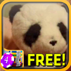 3D Tiny Panda Slots - Free أيقونة