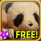 3D Tiny Panda Slots - Free ikona