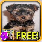 ikon 3D York Terrier Slots - Free