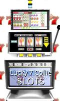 3D Lucky 7 Collie Slots Poster