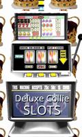 3D Deluxe Collie Slots Affiche