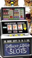 3D Deluxe Collie Slots ภาพหน้าจอ 2