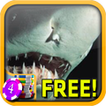 3D Jaws Slots
