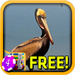 ”Pelican Slots - Free