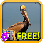 ikon Pelican Slots - Free