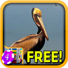 Pelican Slots - Free Zeichen