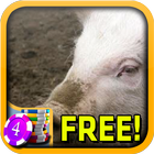 Pig Slots - Free icône