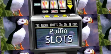 3D Puffin Slots - Free