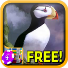 3D Puffin Slots - Free 图标