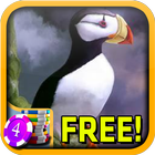 3D Puffin Slots - Free icône