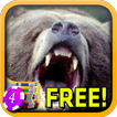 Kodiak Bear Slots - Free