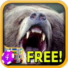 Kodiak Bear Slots - Free icône