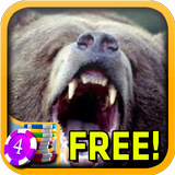 Kodiak Bear Slots - Free ícone