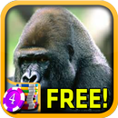 3D Ape Slots - Free APK