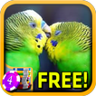 3D Sad Lovebird Slots - Free