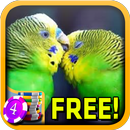3D Sad Lovebird Slots - Free APK