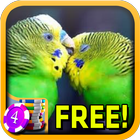 3D Sad Lovebird Slots - Free biểu tượng