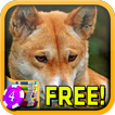 Dingo Slots - Free