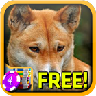 Dingo Slots - Free biểu tượng