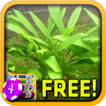 Plant Slots - Free