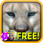 Cougar Slots - Free biểu tượng