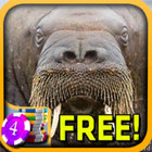 Walrus Slots - Free icon
