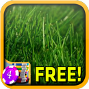 Grass Slots - Free APK