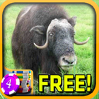 Musk Ox Slots - Free ícone