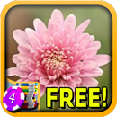 3D Chrysanthemum Slots - Free-APK