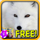 3D Arctic Fox Slots - Free ícone