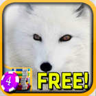 3D Arctic Fox Slots - Free icon