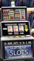 Zambia Slots - Free screenshot 2