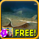 Angelshark Slots - Free APK