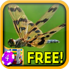 Dragonfly Slots - Free icône