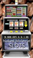 Naked Mole-rat Slots - Free Cartaz