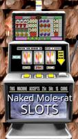 Poster Naked Mole-rat Slots - Free