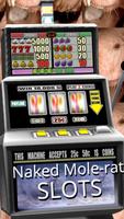 Naked Mole-rat Slots - Free captura de pantalla 2