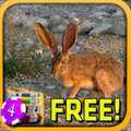 Jackrabbit Slots - Free