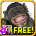 3D Chimipanzee Slots - Free