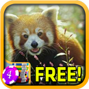Red Panda Slots - Free APK
