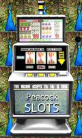 Peacock Slots - Free Affiche