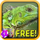 3D Iguana Slots - Free ไอคอน