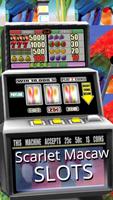 Scarlet Macaw Slots - Free capture d'écran 2