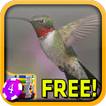 That Hummingbird Slots - Free