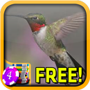 That Hummingbird Slots - Free APK
