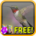 That Hummingbird Slots - Free icône