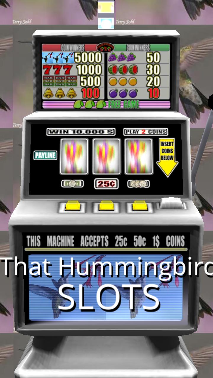 Hummingbird Hummingbird