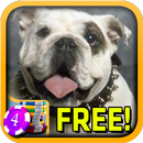 Bulldog Slots - Free APK