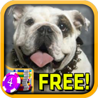 Bulldog Slots - Free ícone